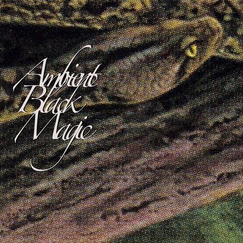 Ambient Black Magic Vinyl LP - Limited Edition Electronic Music Record for Relaxation & Meditation | Perfect for Home Listening & Yoga Sessions