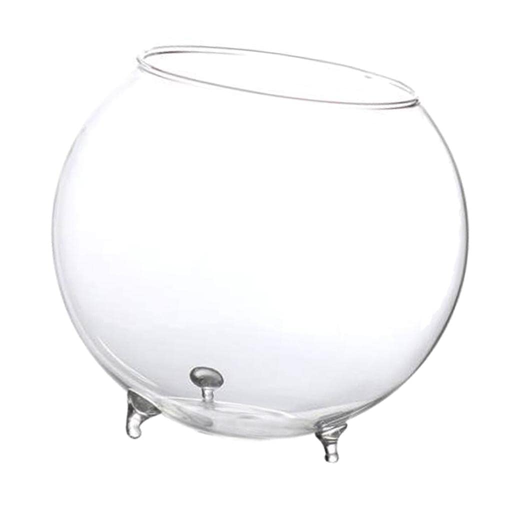JoyMerit Glass Flower Hydroponic Vase - Elegant Tabletop Micro Landscape Terrarium Planter for Succulents, Air Plants & Home Decor | Perfect for Office Desk, Living Room Centerpiece & Gift Ideas