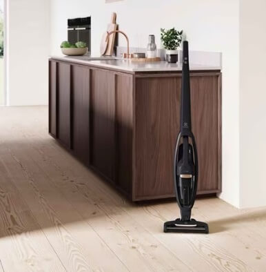 Electrolux WQ61 10GG Well Q6 Cordless Vacuum Cleaner - Powerful Stick Vacuum for Pet Hair, Hard Floors & Carpets | Lightweight & Quiet for Home Cleaning