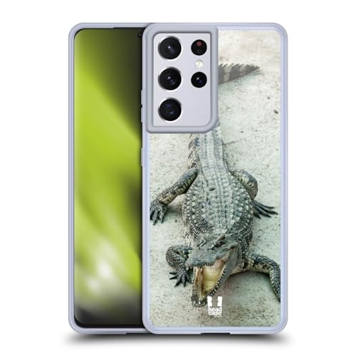 Open-Mouthed Crocodile