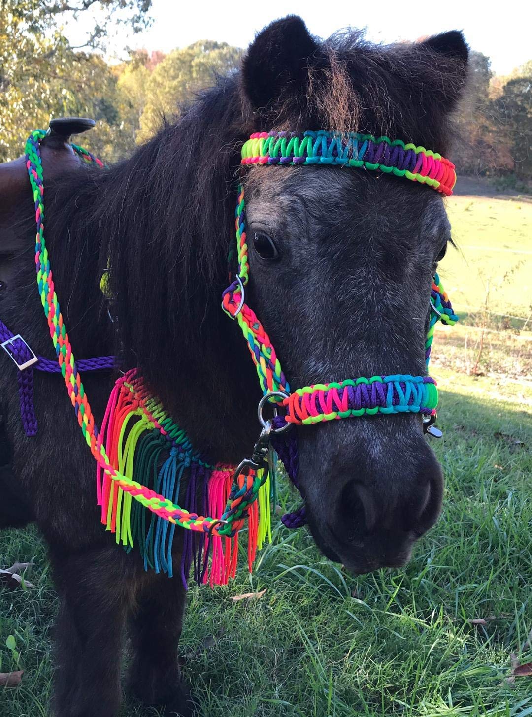 Colorful Rainbow Small Pony Fringe Breast Collar - Western Horse Riding Accessory for Show & Trail Riding