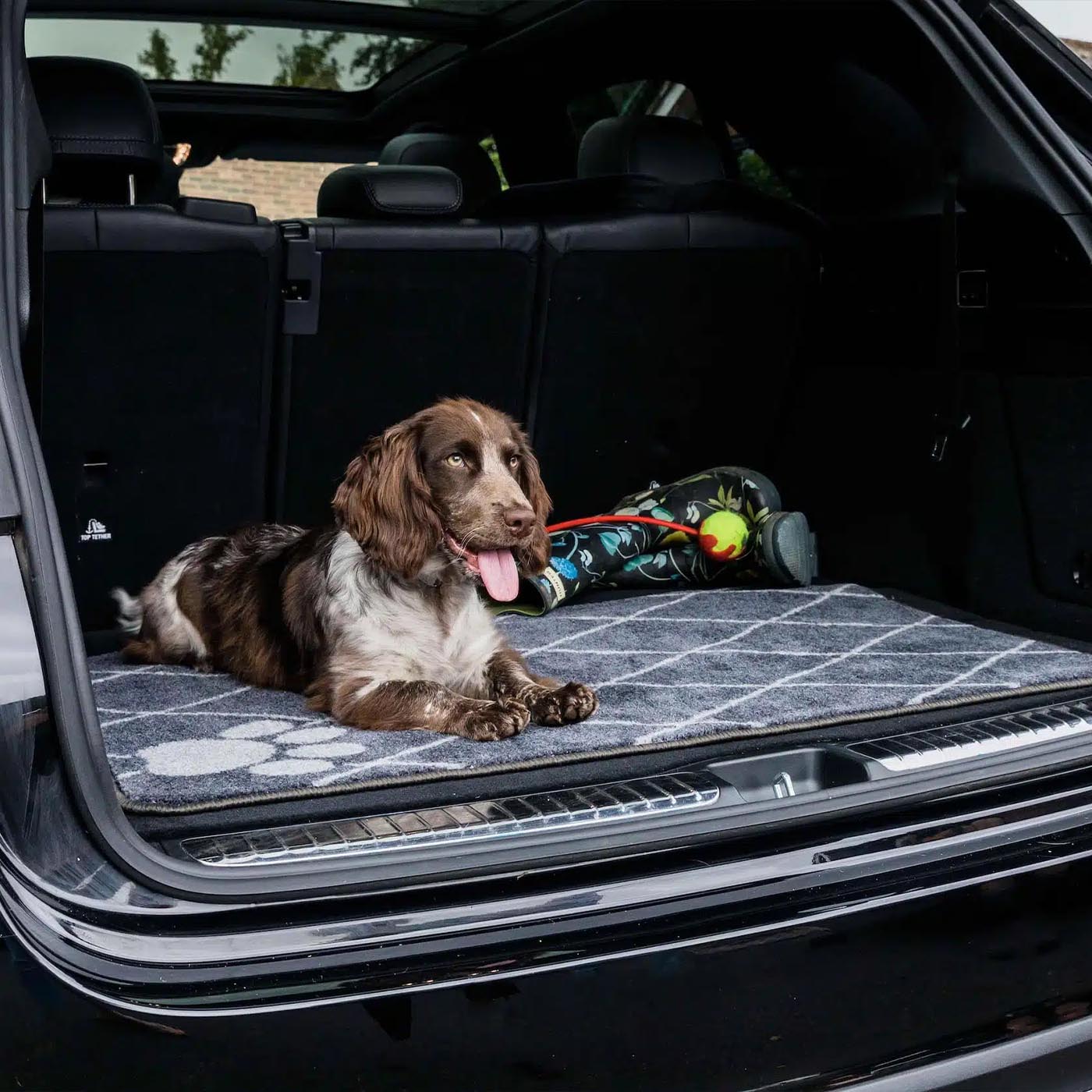 Pet Rebellion Boot Mate Trellis - Durable Dog Boots for Hiking & Outdoor Adventures - Protect Your Dog's Paws on Rough Terrain, Snow & Hot Pavement - Perfect for Active Dogs, Trail Running & Winter Walks