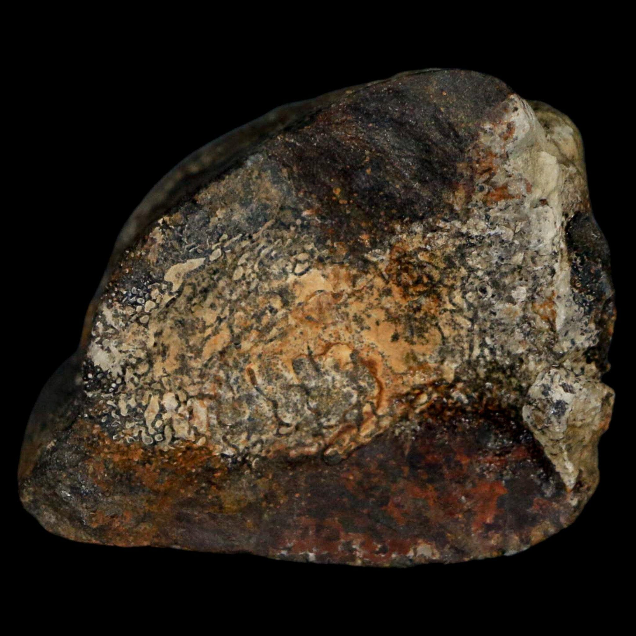 1.8