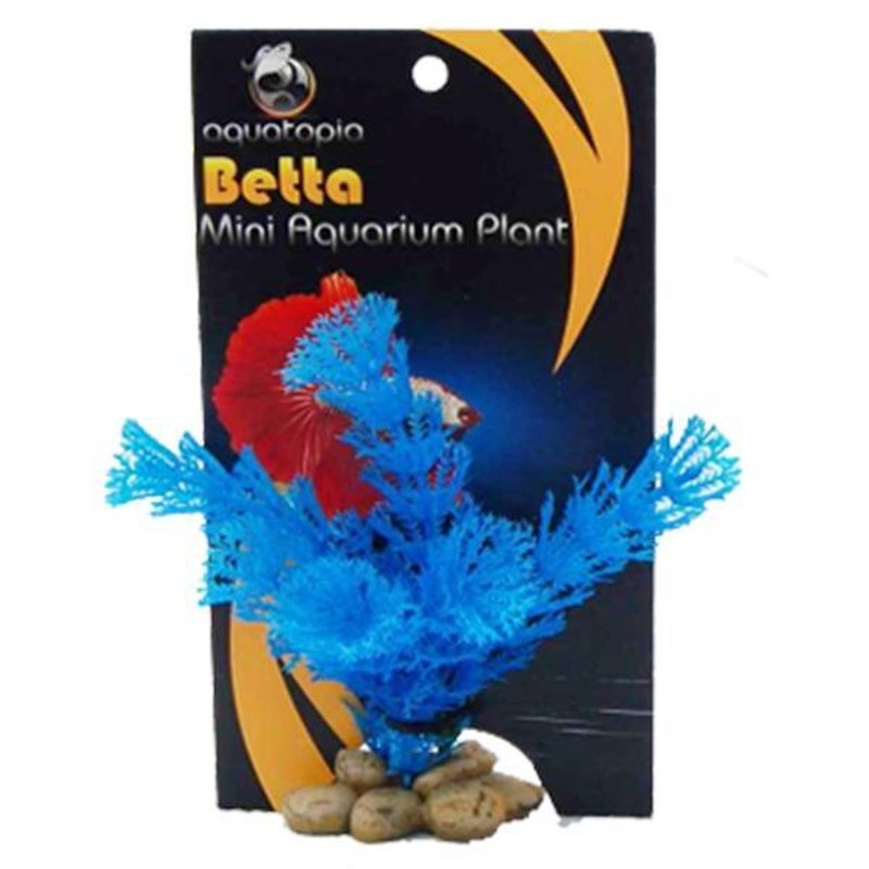 Aquatopia Betta Blue Fine Leaf Aquarium Plant - Perfect for Betta Fish Tanks, Aquascaping & Low-Tech Aquariums