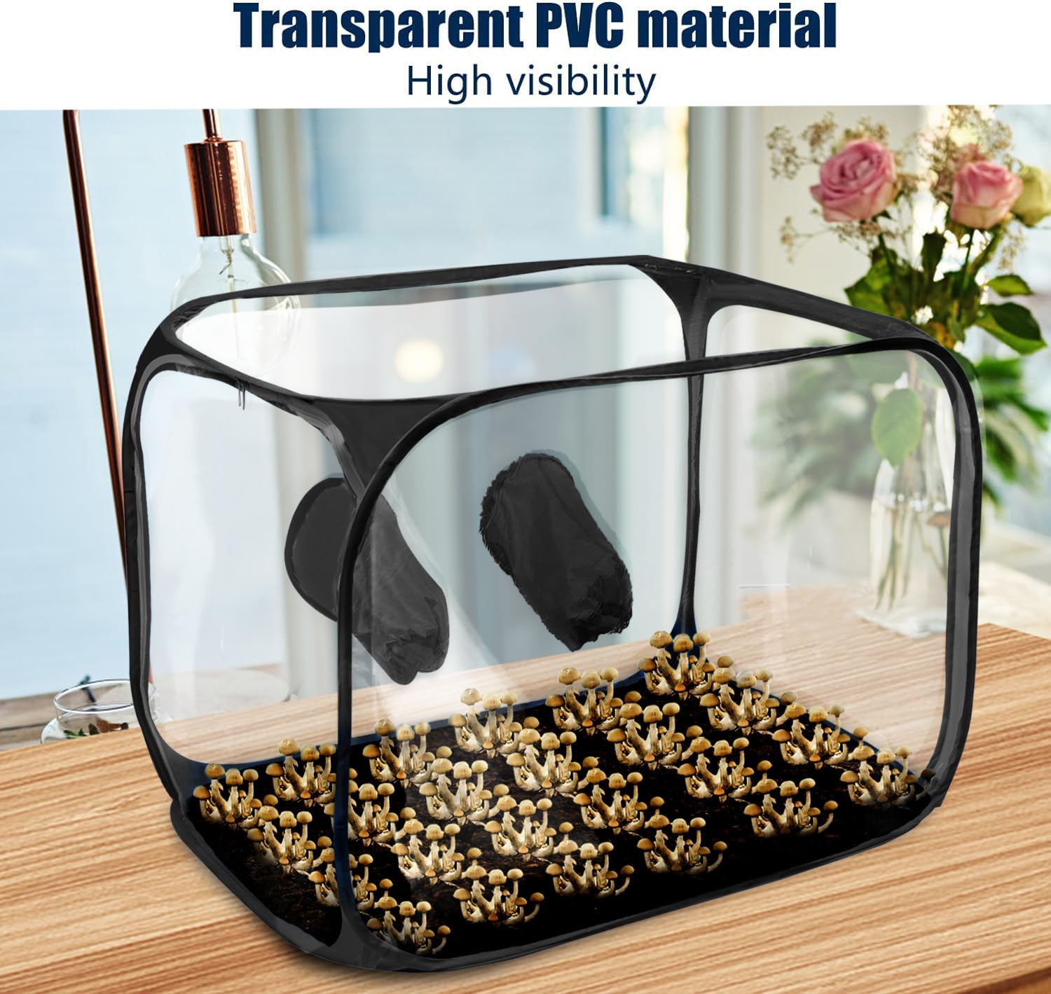 Magoog Still Air Box - Mushroom Grow Tent & Mycology Fume Hood Propagation Station (35.5x23.5x23.5 Inches) for Home Mushroom Cultivation | Perfect for Growing Oyster, Shiitake & Gourmet Mushrooms Indoors - Black