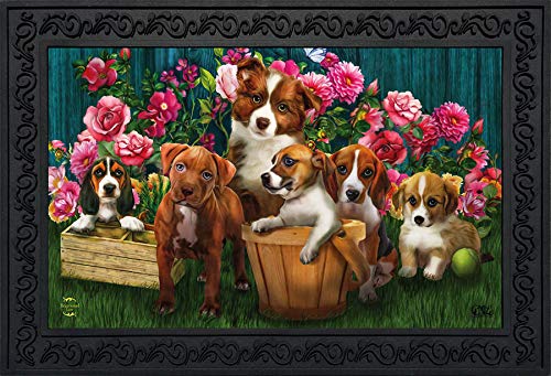 Briarwood Lane Garden Spring Doormat - Welcome Home Decor for Front Door, Porch & Entryway - Non-Slip Outdoor Mat for All Seasons