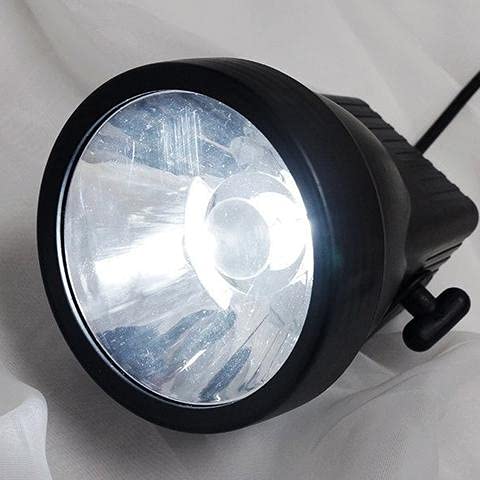 Silk Flowers Factory Up Lights (Regal) - White LED - Perfect for Weddings, Home Decor, and Event Lighting
