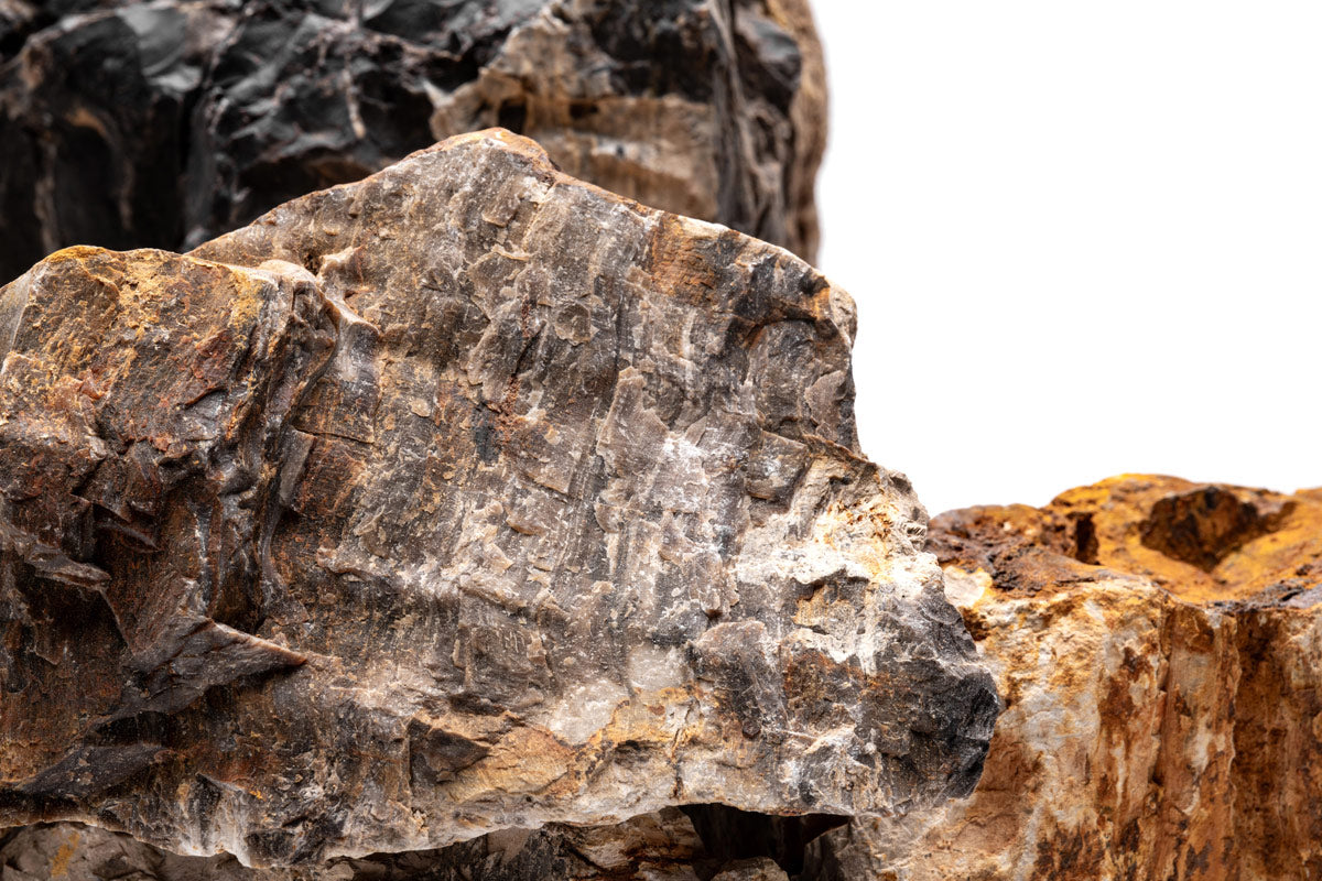 Natural Petrified Wood Stone - Unique Home Decor & Collectible Fossil for Geology Enthusiasts | Perfect for Display Shelves, Office Desks, and Gift Giving