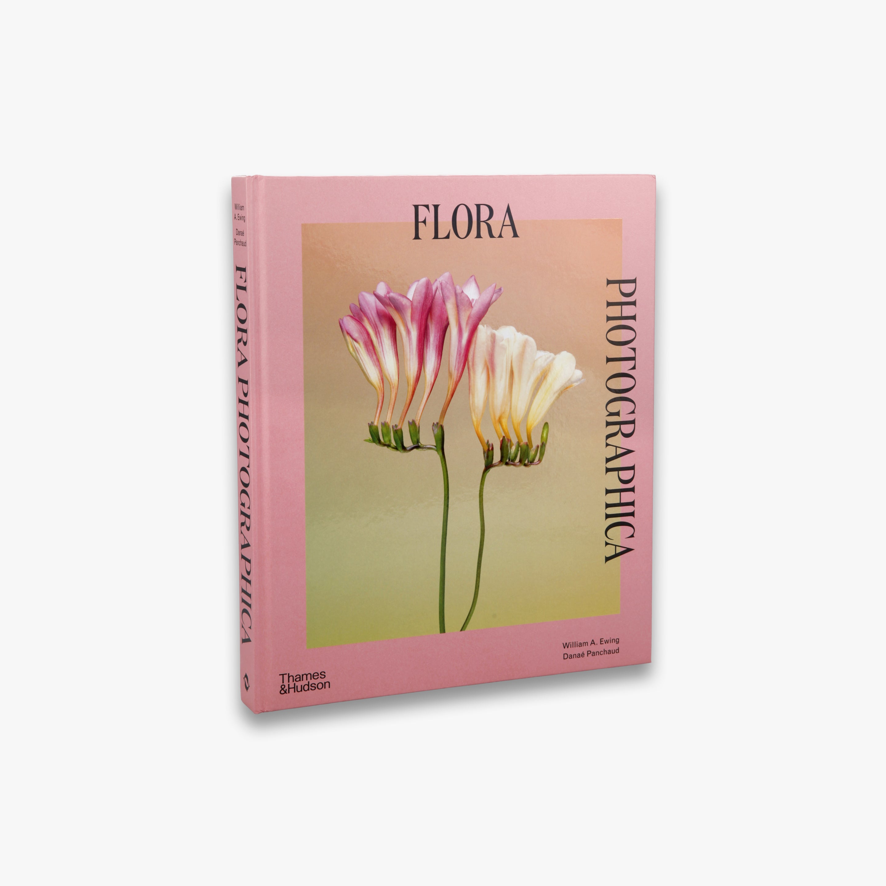 Flora Photographica - Stunning Botanical Photography Prints for Home & Office Decor | Nature Wall Art for Living Room, Bedroom & Office