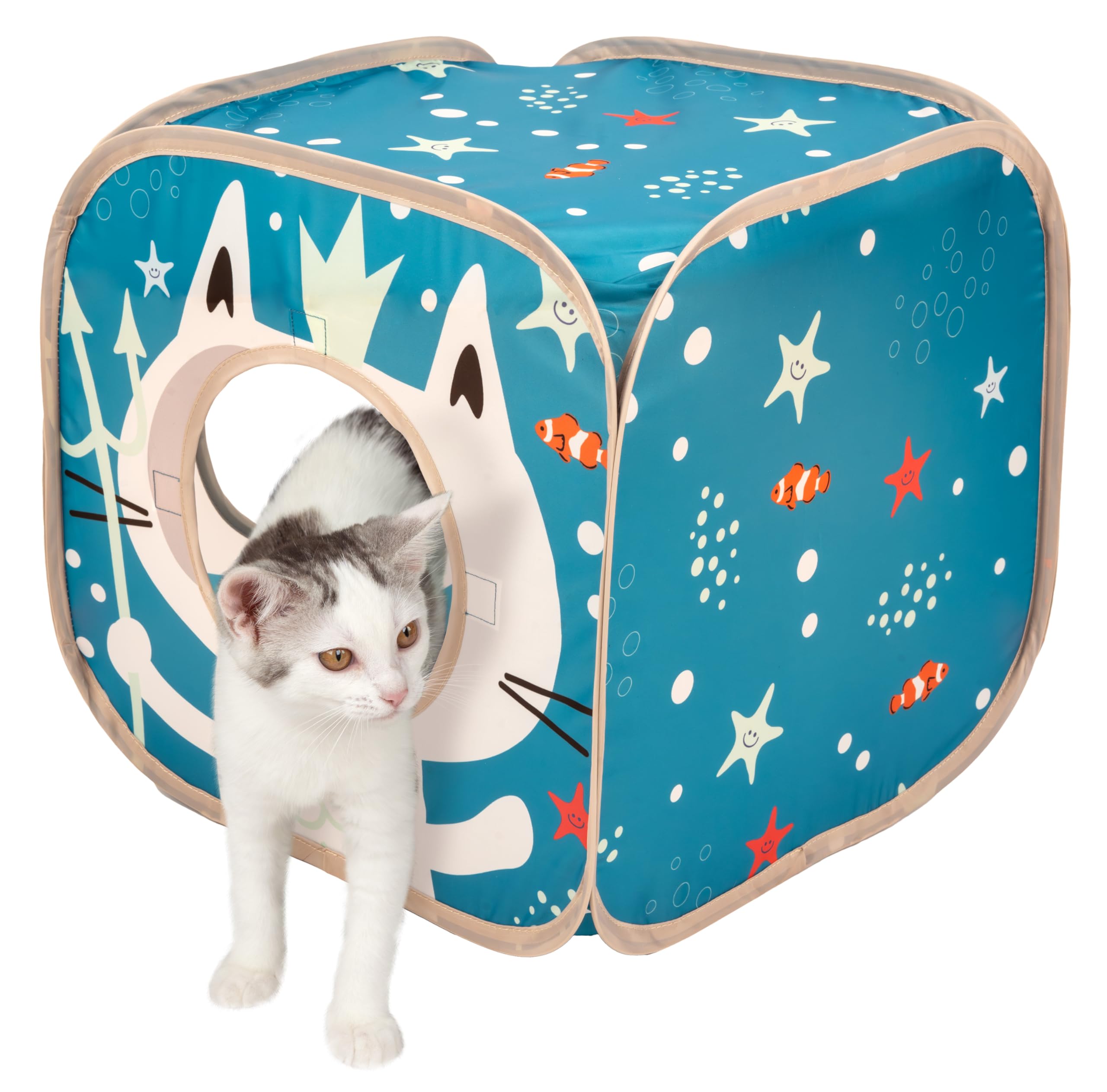 Kitty City Ocean Themed Cat Play Furniture - Interactive Play Cube for Indoor Cats | Perfect for Small Spaces & Playtime Fun