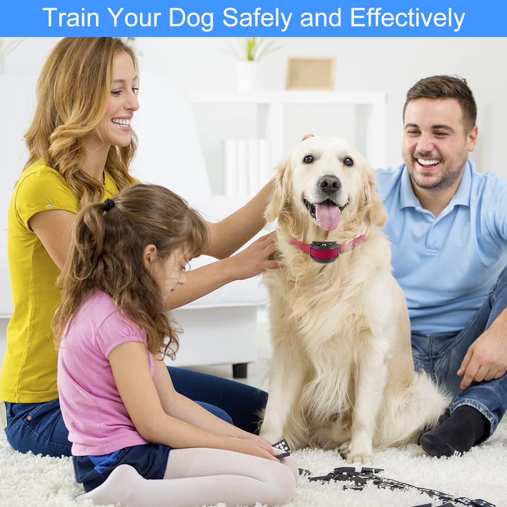 PaiPaitek No Shock Dog Training Collar with Remote - Lightest Rechargeable Vibration Collar for Small (5-15lbs) & Medium/Large Dogs - Waterproof, 1600ft Range, No Prongs - Perfect for Obedience Training, Bark Control & Outdoor Adventures