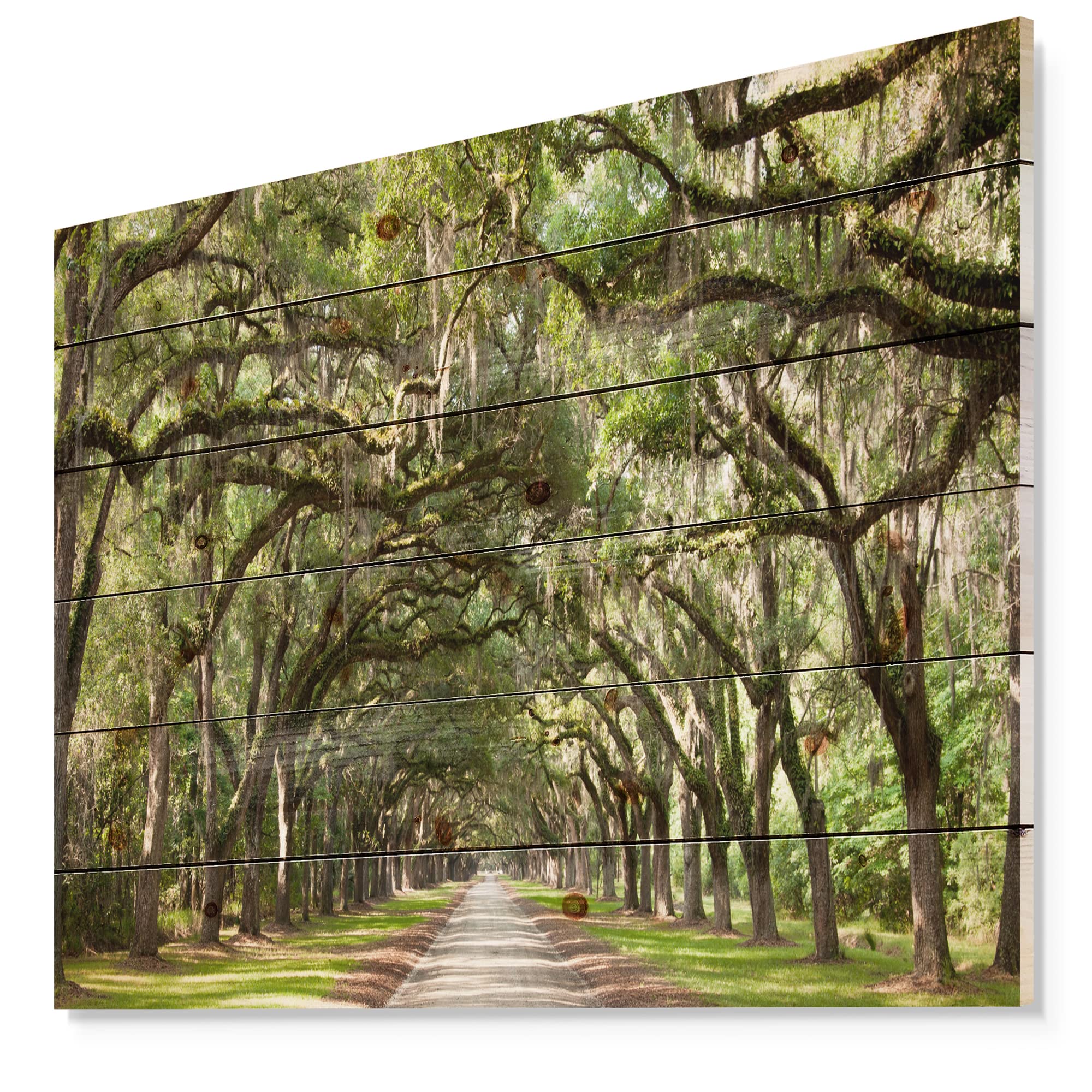 DesignQ Live Oak Tunnel Traditional Wood Wall Decor - Green Wood Wall Art, Large Landscape Wood Panels Printed on Natural Pine - Perfect for Living Room, Bedroom & Office Decor