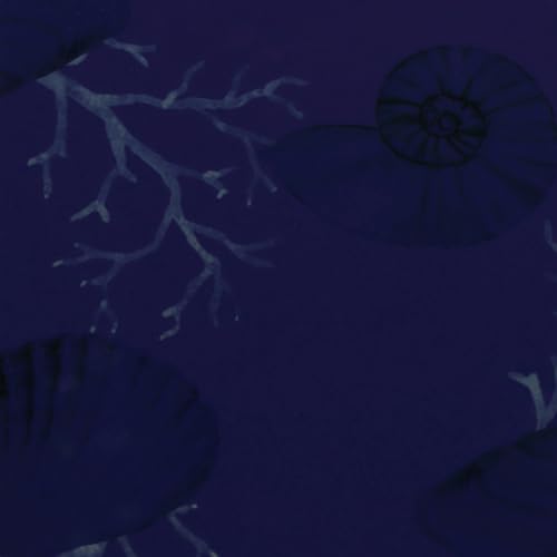 Seashell Navy