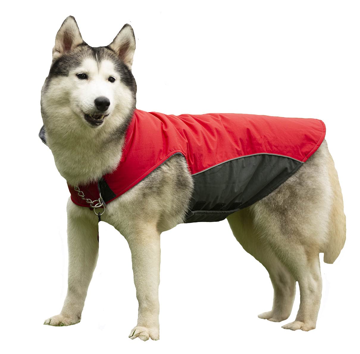 BONAWEN Waterproof Winter Dog Coat - Thick Warm Dog Jacket for Large Breed Dogs (Red, XL) - Ideal for Cold Weather Walks & Outdoor Adventures