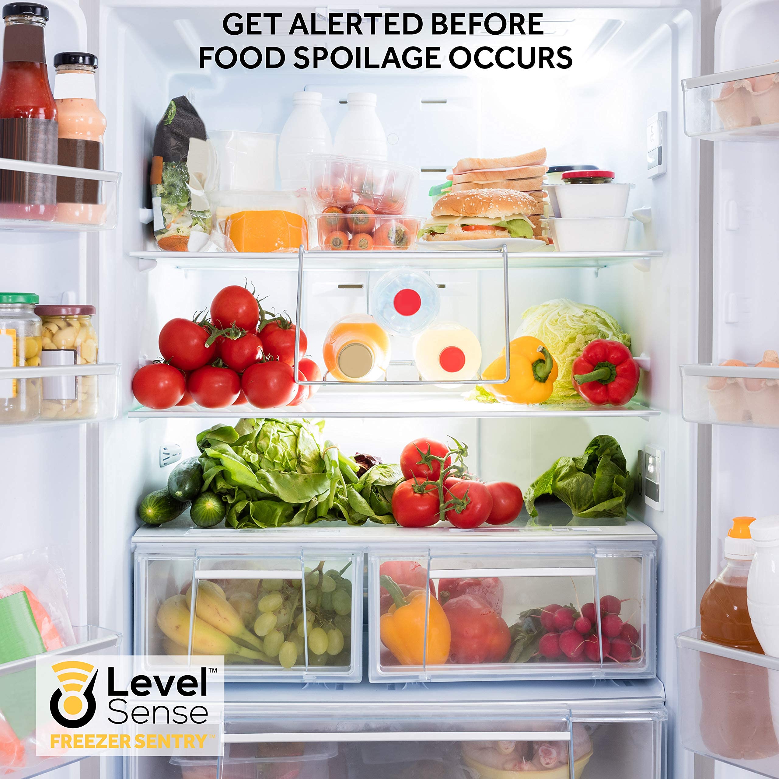 Wireless Freezer Alarm & Refrigerator Temperature Monitor with 10ft Sensor - WiFi Freezer Thermometer for Home, Restaurant, and Laboratory Use