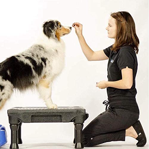 Blue-9 Inspire Dog Training Treats - Bite-Sized, All-Natural USA Made Dog Treats (4oz Resealable Bag) - Perfect for Obedience Training & Positive Reinforcement Rewards