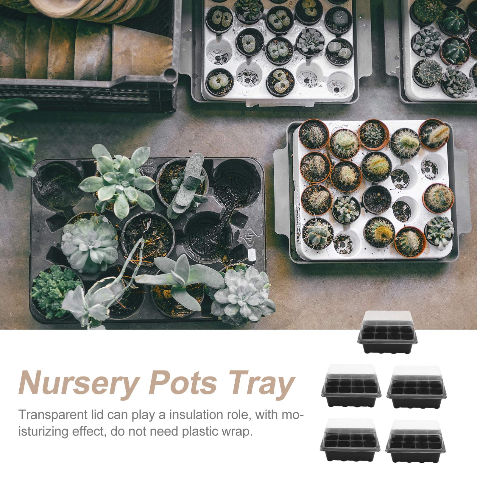 5 Pack Seed Starter Kit - 12 Cells Trays with Humidity Dome for Gardening, Plant Propagation, Bonsai & Germination - Perfect for Indoor & Outdoor Planting (Black)
