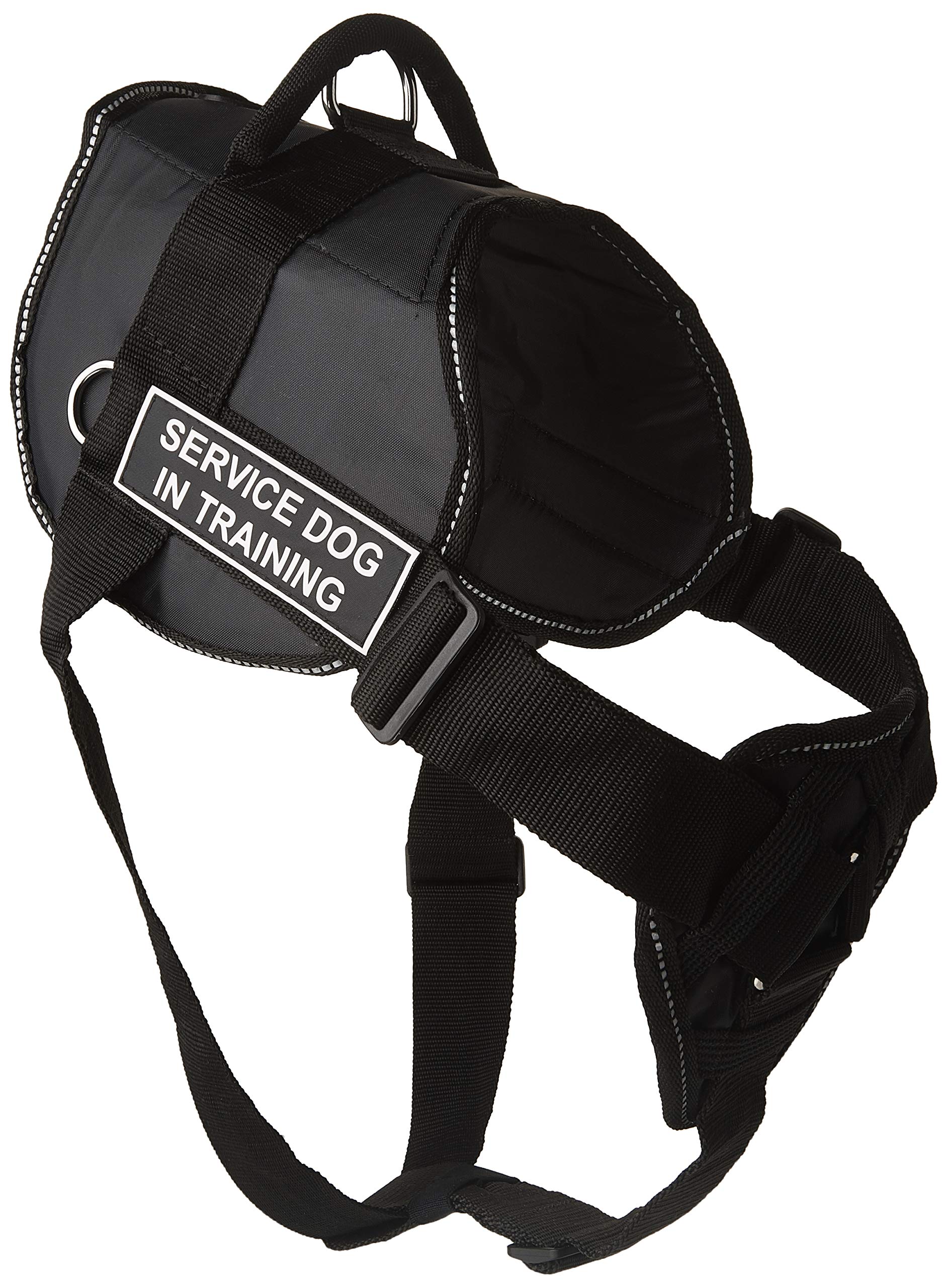 DT Fun Chest Support Harness for Service Dog in Training - X-Large Size with 6ft Padded Leash | Comfortable Training Gear for Therapy & Assistance Dogs