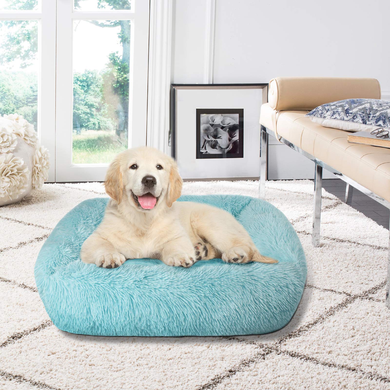 Premium Orthopedic Dog Bed for Large Dogs - 31.5