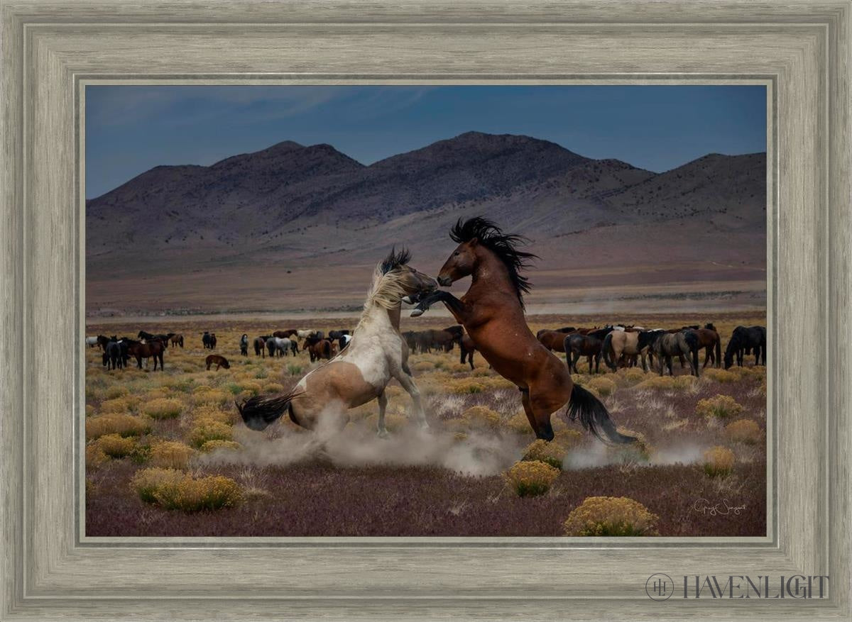 Desert Duel 5 by Greg Sargent - Western Action Novel - Perfect for Book Clubs & Cowboy Adventure Fans