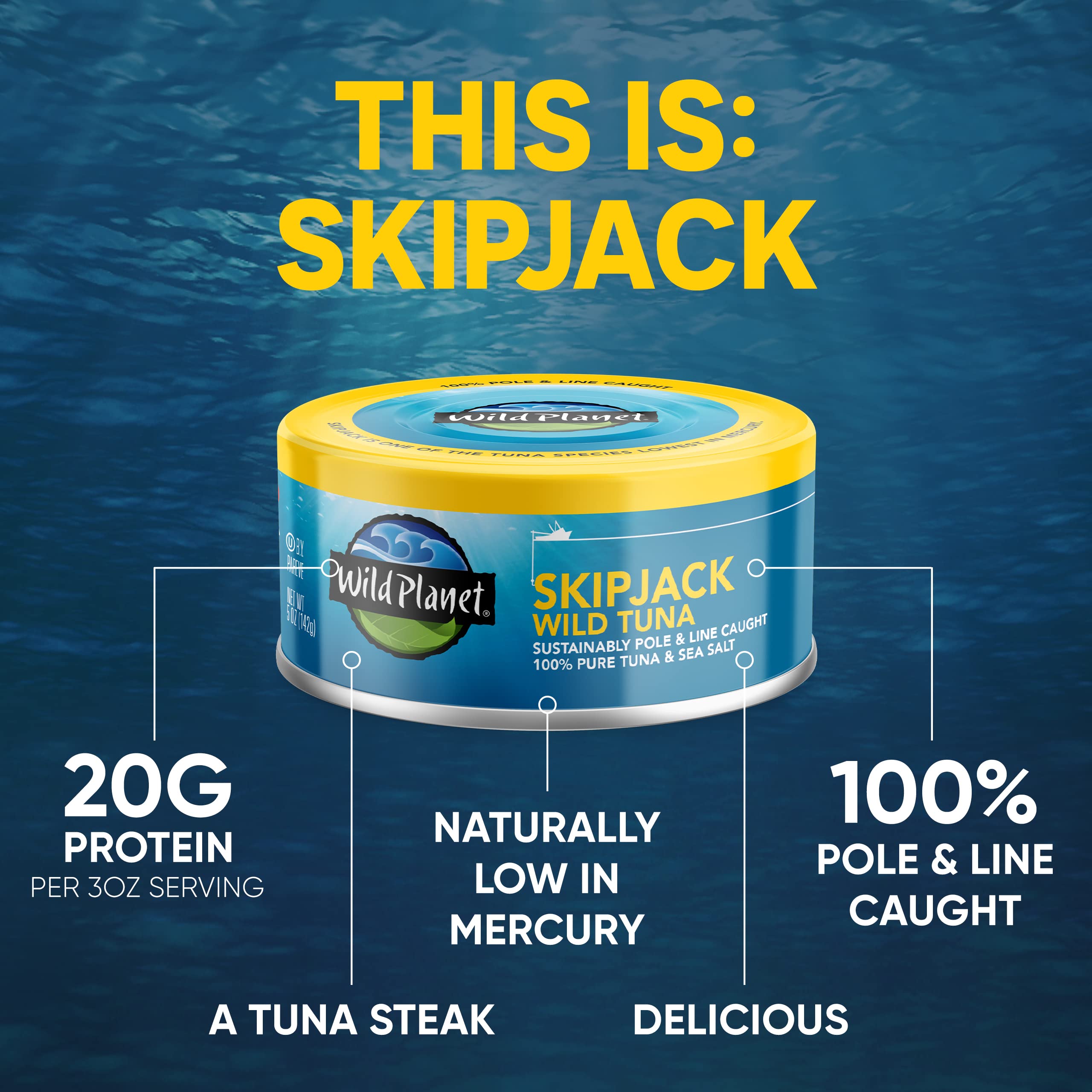 Wild Planet Wild Skipjack Light Tuna in Sea Salt - 5 oz Can | High Protein, Mercury Tested, Keto & Paleo Friendly | Perfect for Salads, Sandwiches & On-The-Go Meals