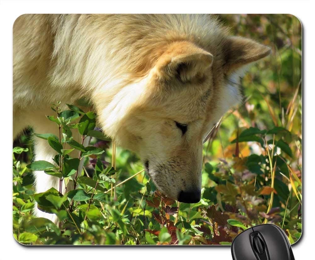 Premium Gaming Mouse Pad - Non-Slip Wolf Dog Hunting Design with Smooth Surface for PC, Laptop & Office Use - Perfect for Gamers, Graphic Designers & Professionals