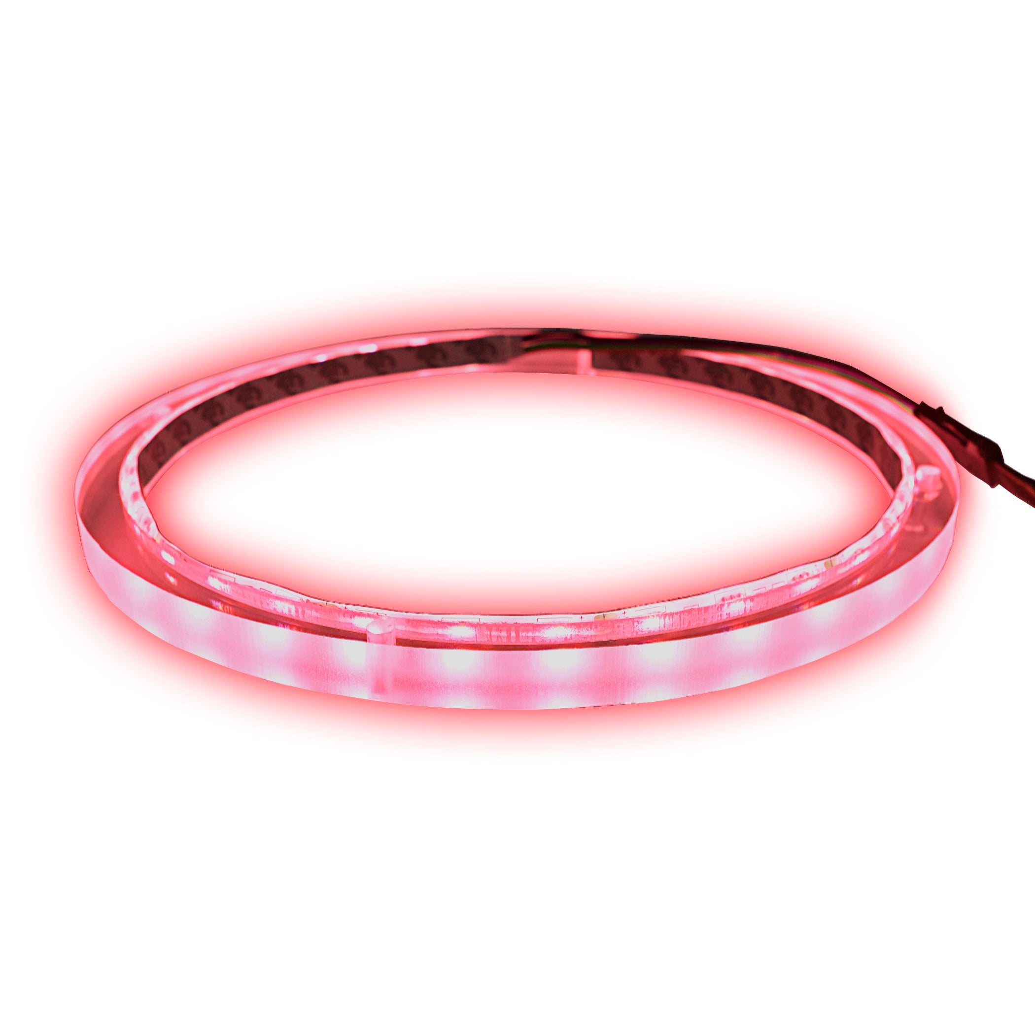 10 Pack RGB LED Speaker Rings - Colorful Lighting for DJ, Gaming & Home Audio (NL RIAPMP 10RGB) - Perfect for Parties, Concerts & PC Setups
