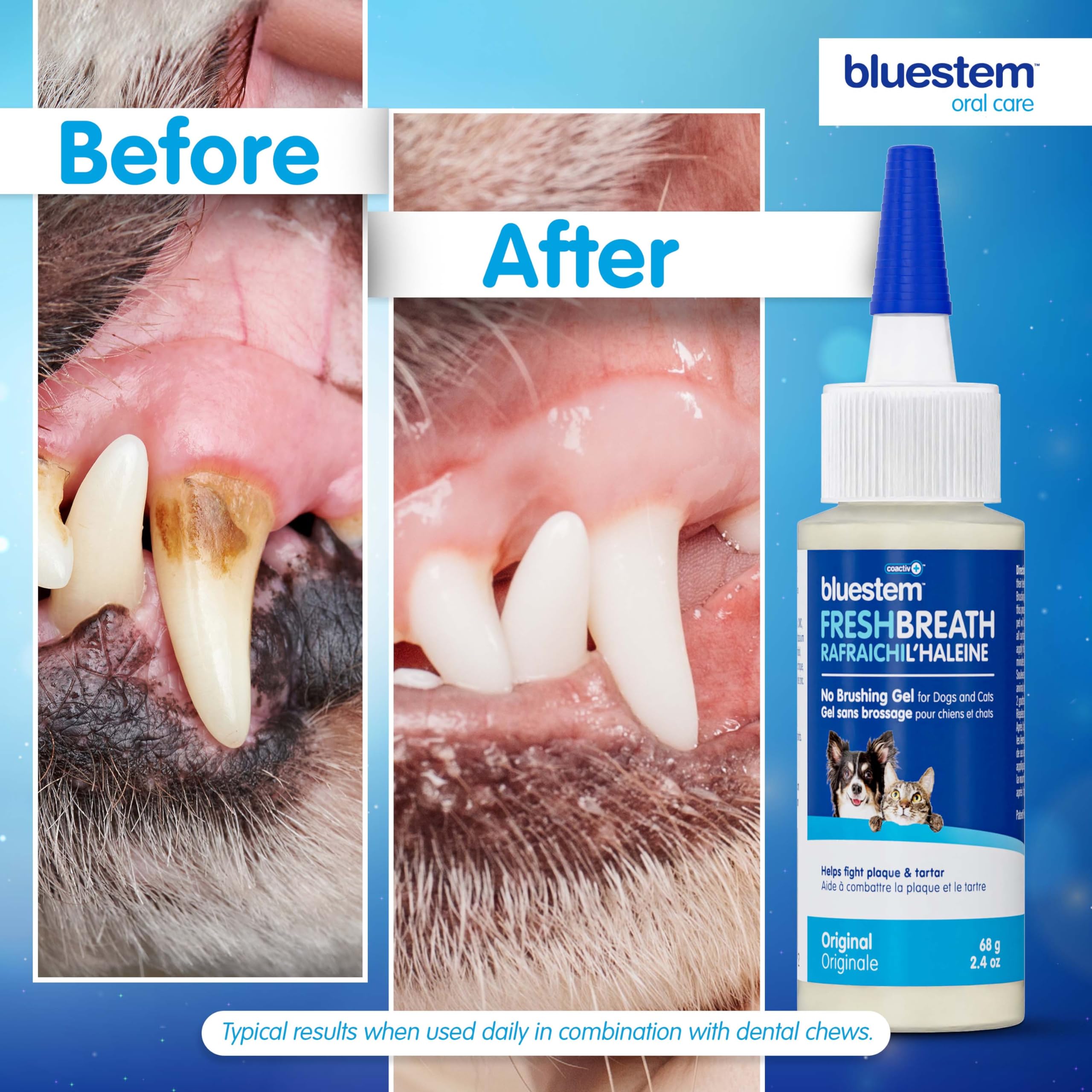 BluestemTM No Brush Dog Dental Gel - Fresh Breath & Plaque Tartar Control for Dogs | Brushless Toothpaste for Easy Oral Care | Perfect for Daily Use & Anxious Pets