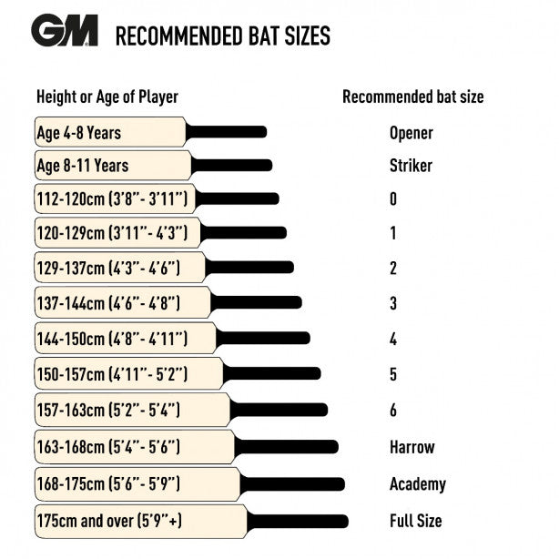 GM Ben Stokes Phase II Players Edition Cricket Bat 2025 - Professional Grade Cricket Equipment for Matches & Training | Perfect for Club Players & Serious Enthusiasts
