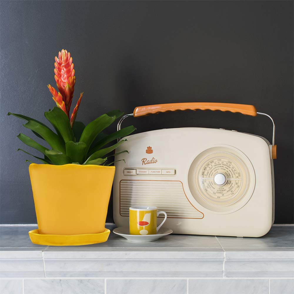 CHIVE ‘Tika’ 5-Inch Large Succulent Planter Pot - Modern Decorative Flower Pot for Indoor Plants, Home & Kitchen Decor - Yellow Ceramic Plant Container for Succulents, Cacti, Herbs | Perfect for Windowsills, Office Desks & Gift Giving