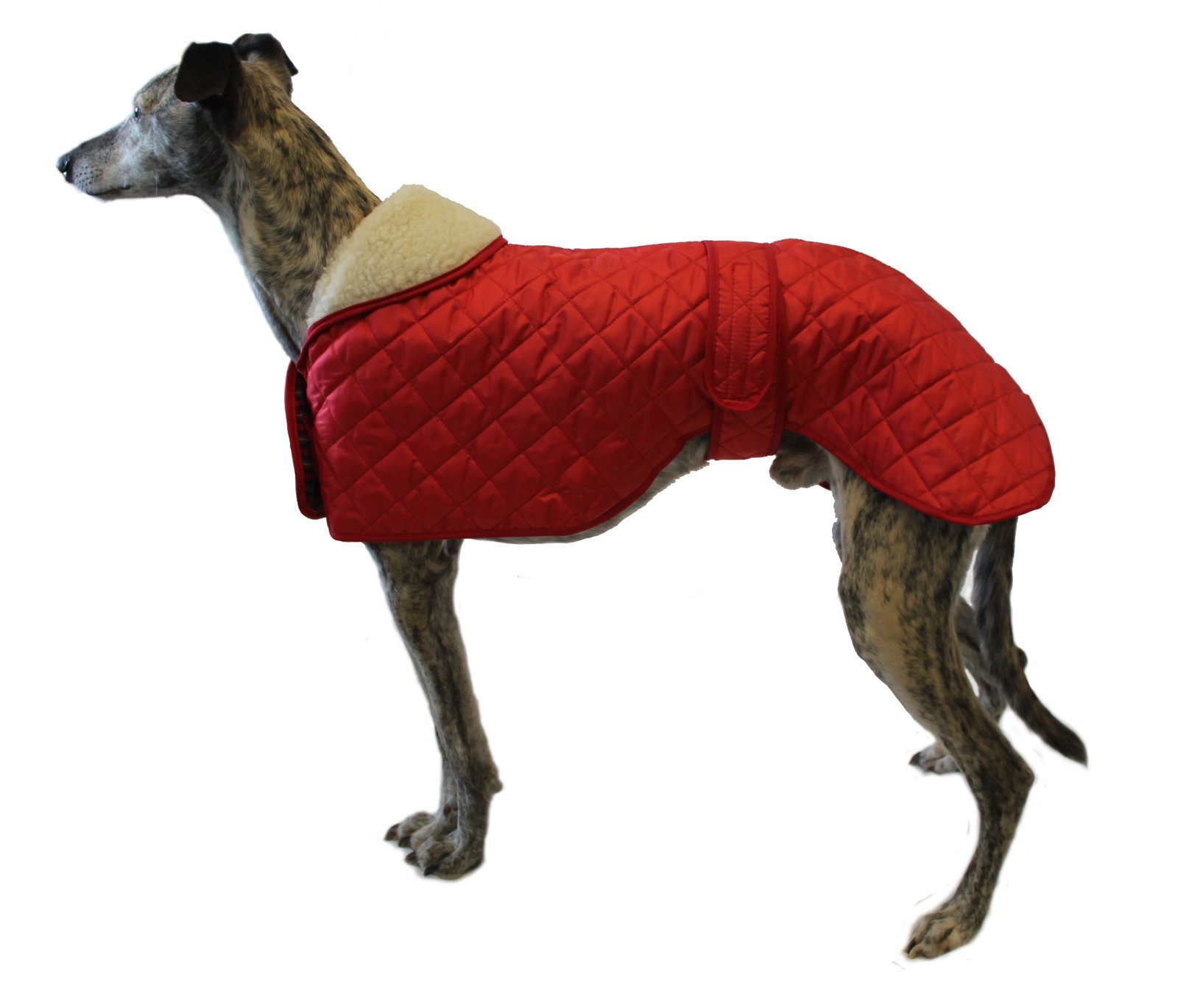 Greyhound Anorak Nylon Coat - 66cm Waterproof Windbreaker Jacket in Red | Perfect for Outdoor Hiking, Camping & Winter Sports