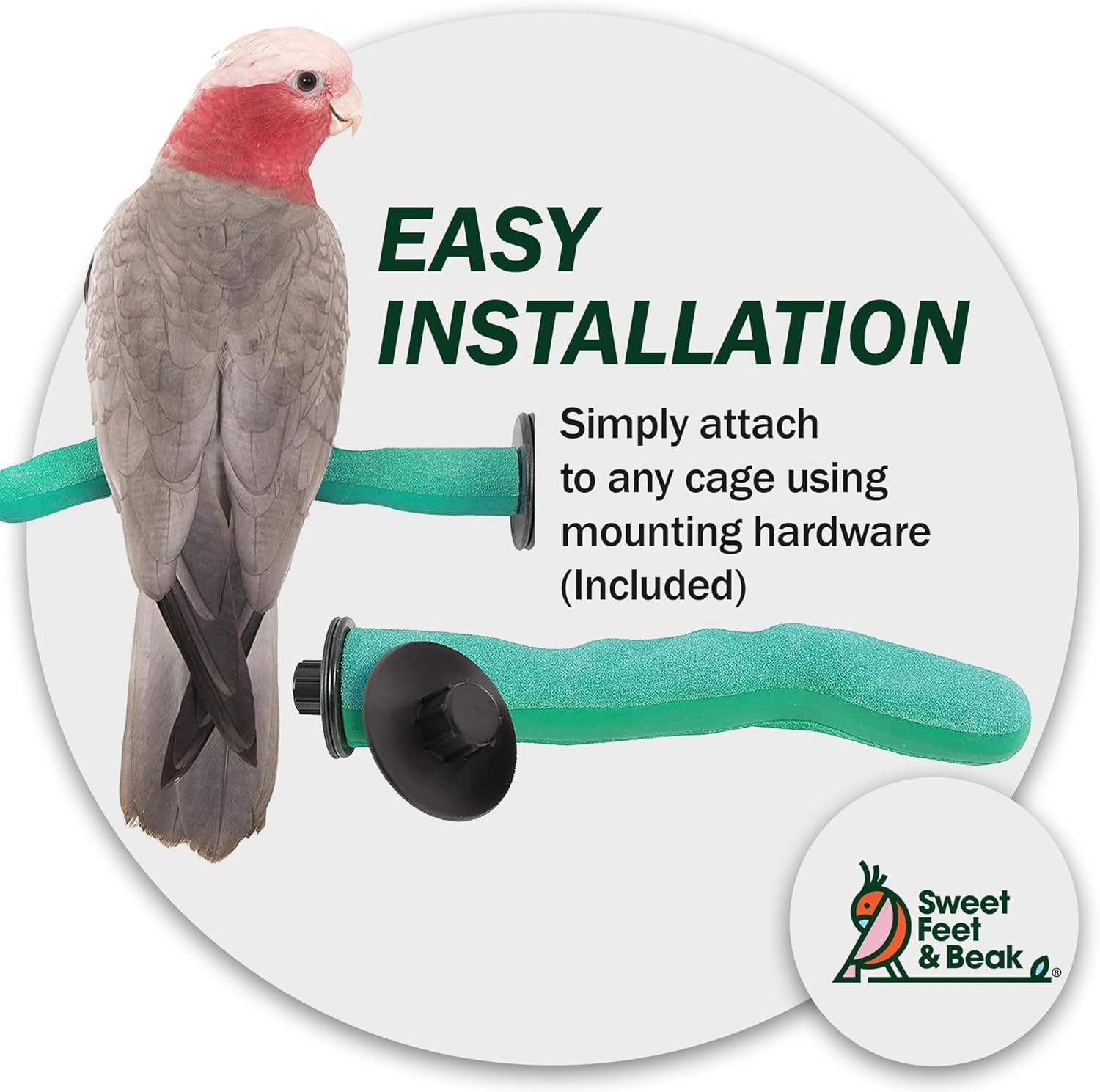 Natural Pumice Perch for Birds - 8