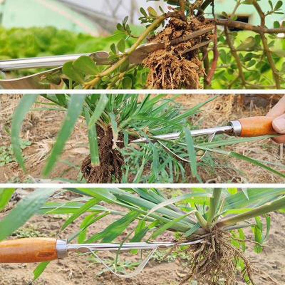 Manual Weed Puller Tool - 1 Piece Hand Weeder for Garden, Lawn & Yard - Bend-Proof Dandelion Digger & Weeding Removal Cutter - Perfect for Organic Gardening, Landscaping & Weed Control