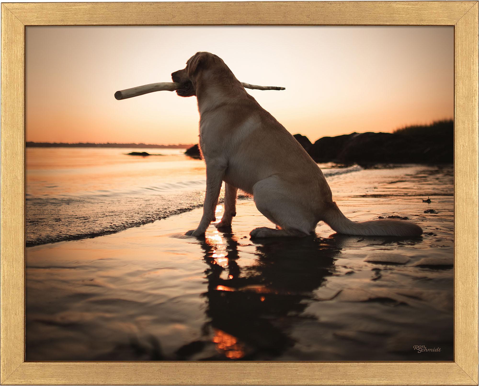 Dusk Art Prints - Stunning Sunset & Twilight Wall Decor for Living Room, Bedroom & Office | High-Quality Canvas & Framed Artwork