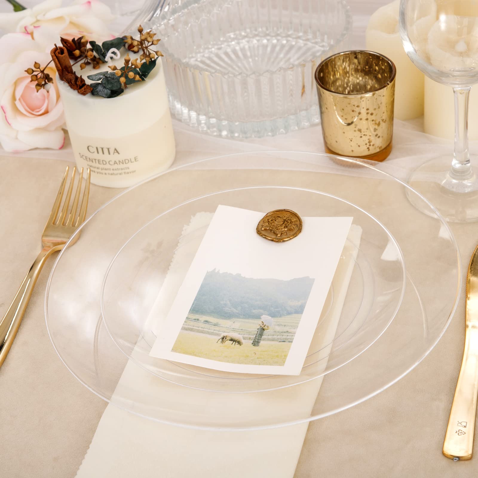 Hioasis 100-Pack 10.25 Inch Clear Plastic Plates - Elegant Disposable Dinner Plates for Weddings, Parties, Catering & Events - Shatterproof & Stylish Tableware for Any Occasion