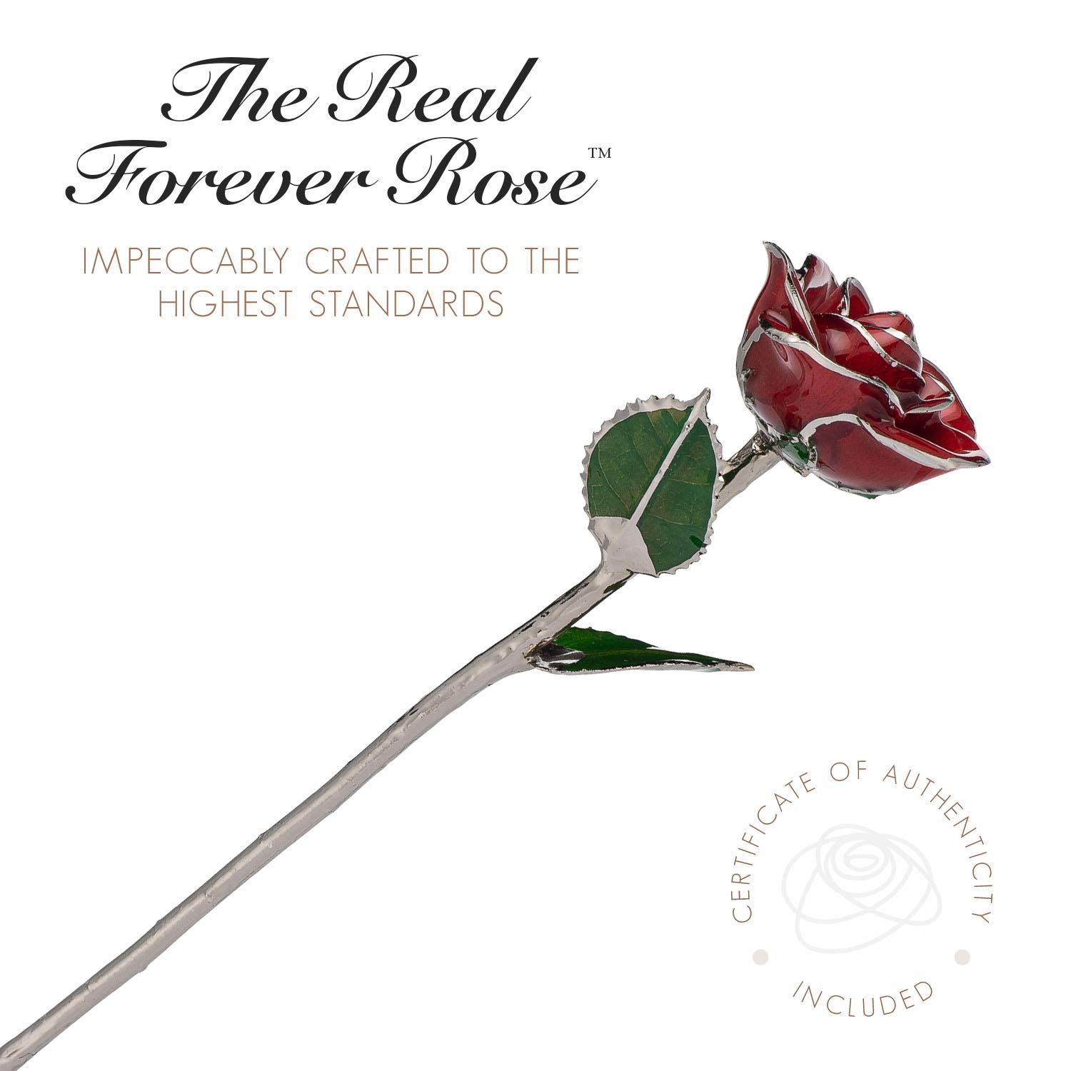 Forever Rose Red Platinum - Preserved Real Rose Dipped in Lacquer with Platinum Trim | Romantic Gift for Women, Men, Anniversary, Valentine's Day | Perfect for Home Decor, Wedding Centerpieces & Luxury Gift Giving