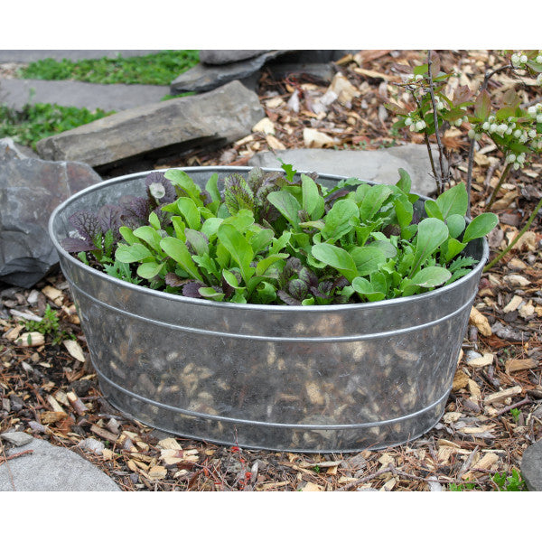 Achla Designs Galvanized Metal Tub 51M C 55 - Perfect for Farmhouse Decor, Garden Planters & Rustic Home Decorating