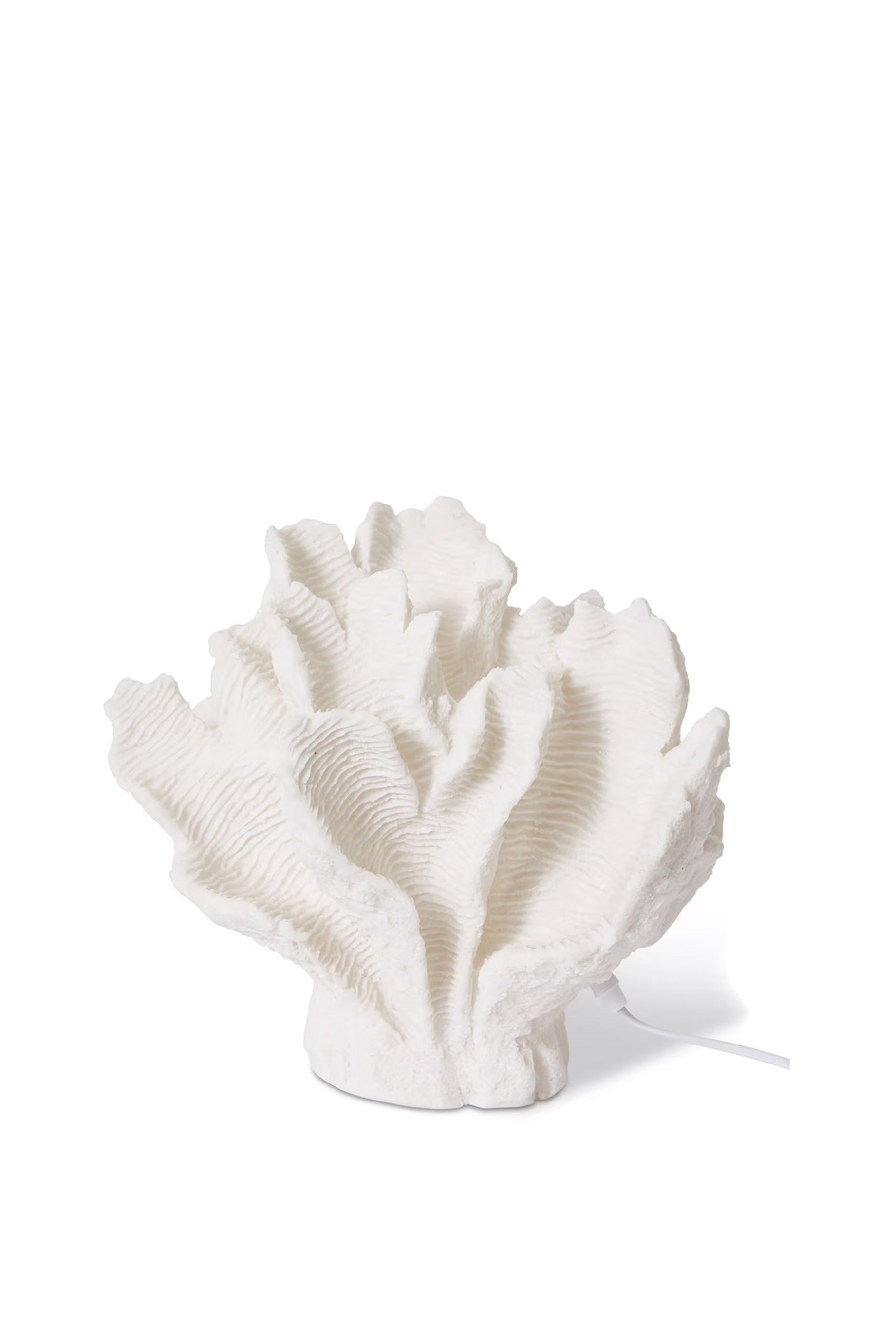 Husk Coral Leaf White - Natural Dried Palm Leaves for Home Decor, Wedding Centerpieces & Boho Style Room Decorations
