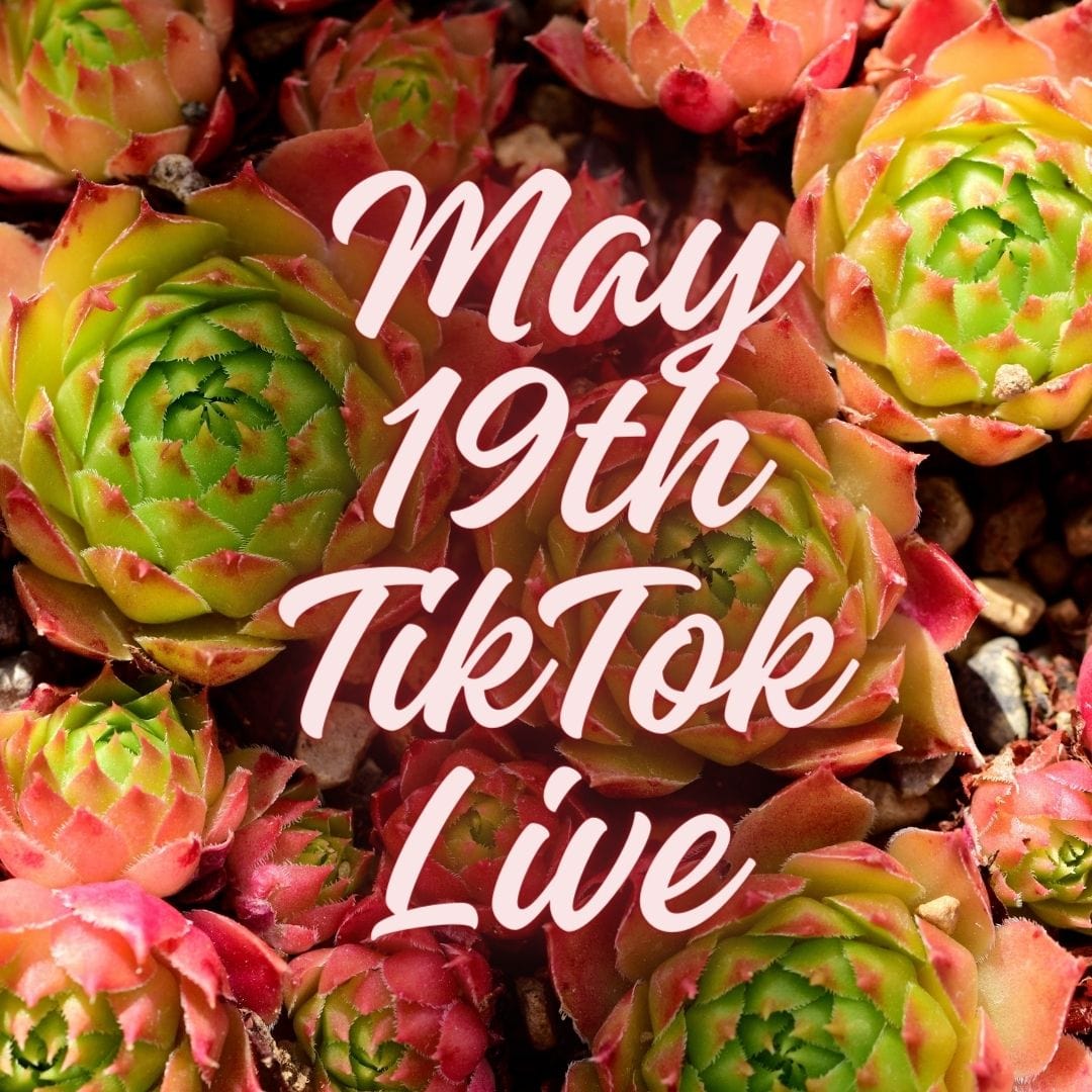Brianadoiron May 19th TikTok Live 2024 - Exclusive Live Stream Event | Watch Online for Fashion & Lifestyle Inspiration | Perfect for Social Media Enthusiasts & Content Creators