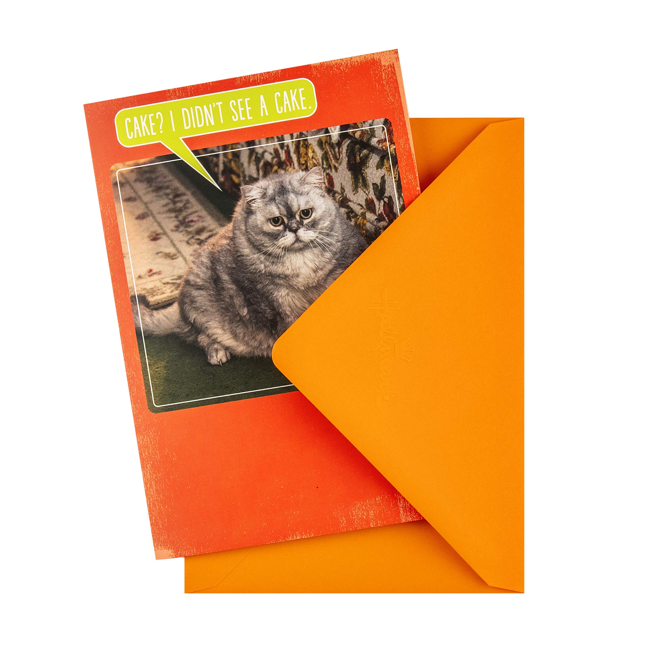 Hallmark Studio Funny Birthday Card with Photographic Cat & Cake Design - Perfect for Cat Lovers & Birthday Celebrations