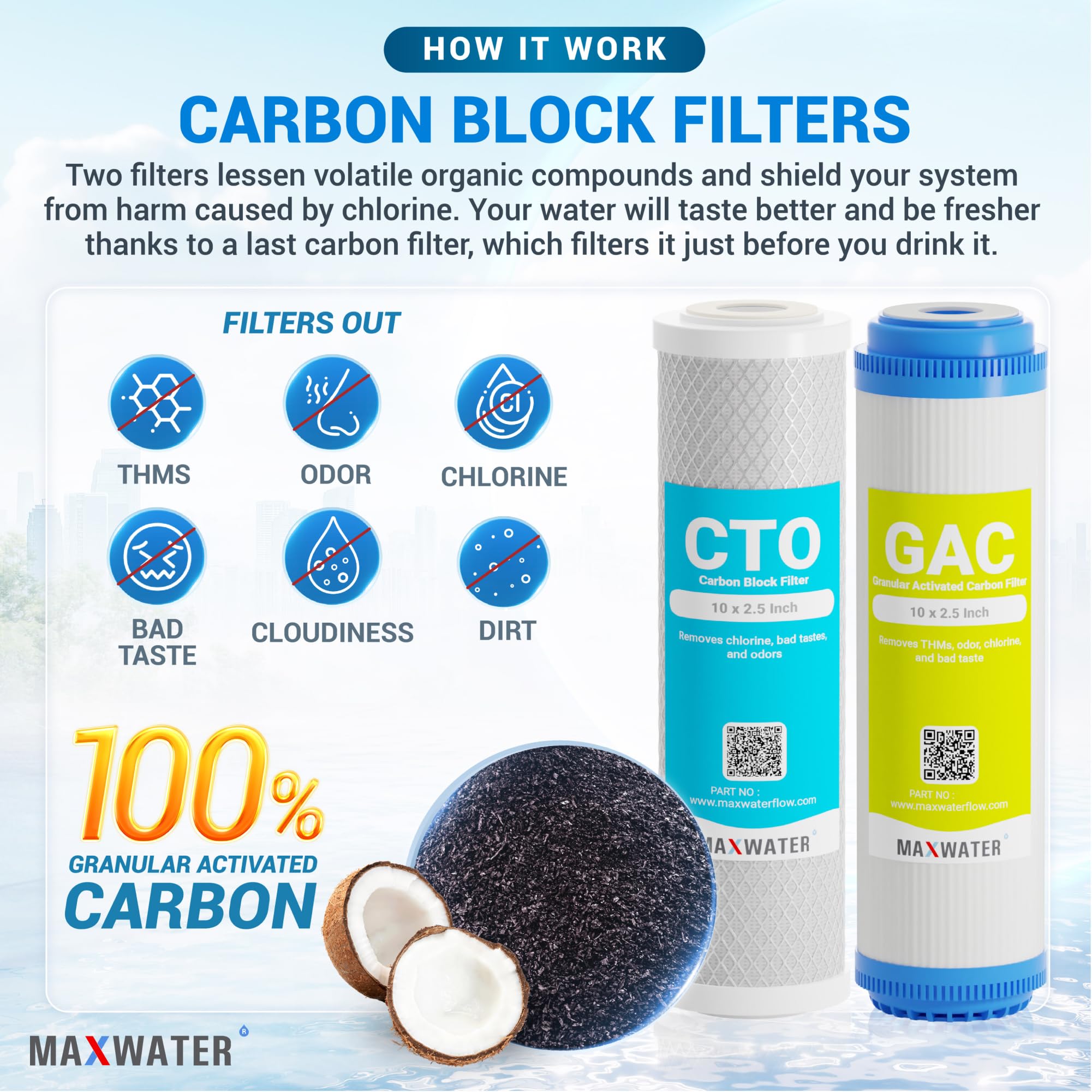 Max Water 5 Micron Replacement Filter Cartridge Set (10 Pack) - 2.5 Inch Standard RO Reverse Osmosis Water Filter System Compatible with AP110, WHKF-GD05, WHKF-WHWC | PP Sediment, GAC & CTO Filtration for Clean Drinking Water - Perfect for Home, Office, and RV Use