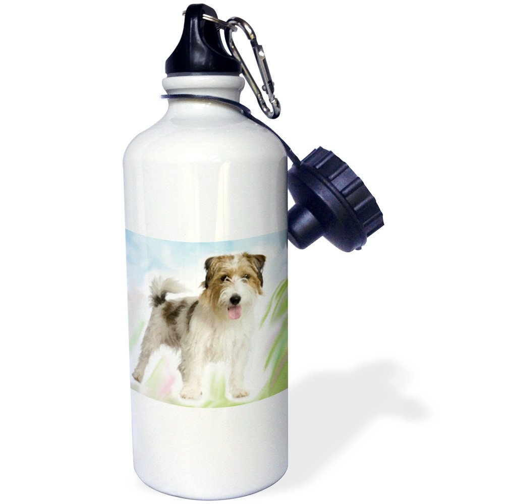 3D Rose Jack Russell Terrier Sports Water Bottle - 21oz Insulated Stainless Steel Gym Bottle with Leakproof Lid - Perfect for Running, Hiking & Workouts - BPA Free White Dog Lover Gift