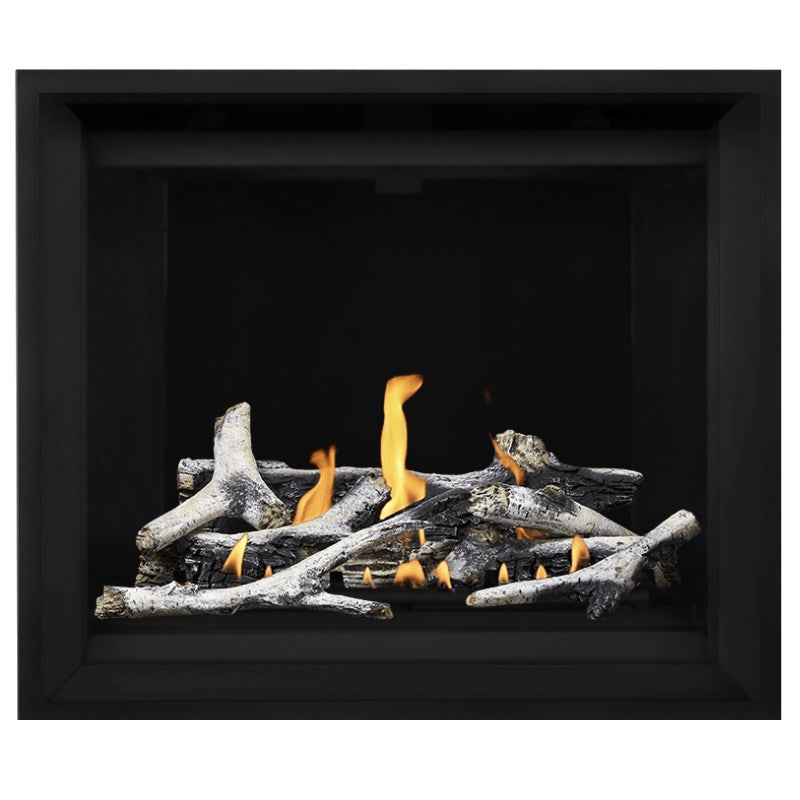 Napoleon Altitude X 42 Direct Vent Gas Fireplace - 42 Inch Natural Gas Fireplace Insert with Remote Control | AX42 1 | Perfect for Living Rooms, Bedrooms & Outdoor Patios