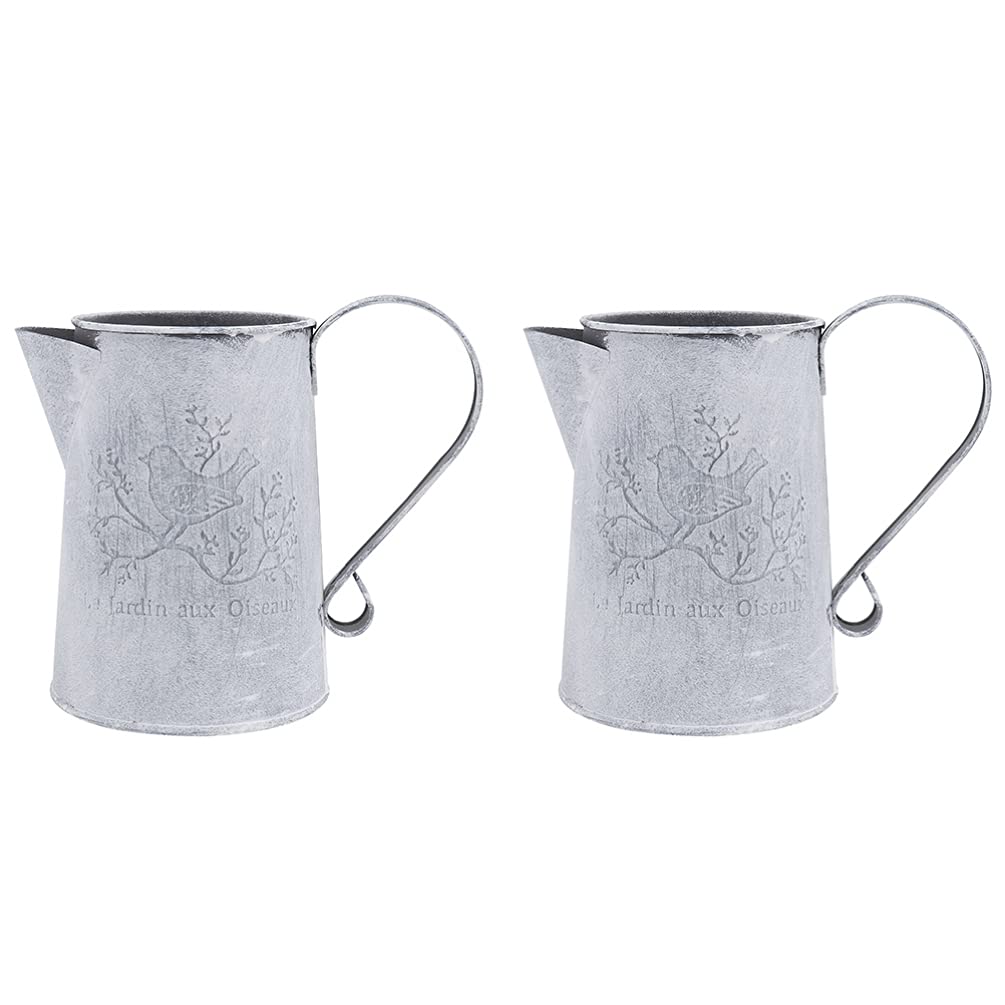 Vintage French Flower Vase Set of 2 - Rustic Farmhouse Metal Pitcher & Galvanized Tin Watering Can - Primitive Decor for Home, Garden & Wedding Centerpieces