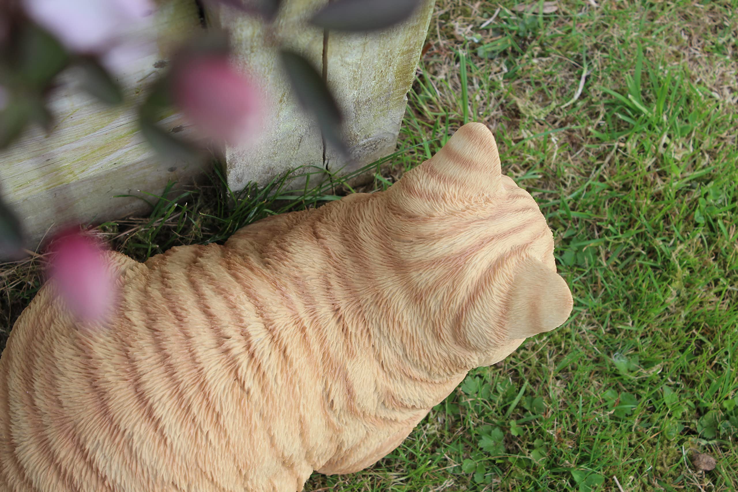 Ginger Dreaming Cat Resin Ornament - Handmade Home Decor for Cat Lovers | Perfect for Bookshelves, Desks & Gift Giving
