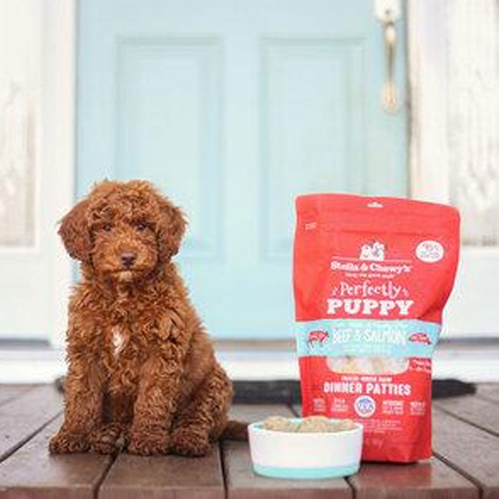 Stella & Chewy's Freeze-Dried Raw Dog Food - Grain-Free Puppy Recipe with Beef & Salmon | High-Protein Meal for Growing Puppies | Perfect for Training Treats & Mealtime Nutrition
