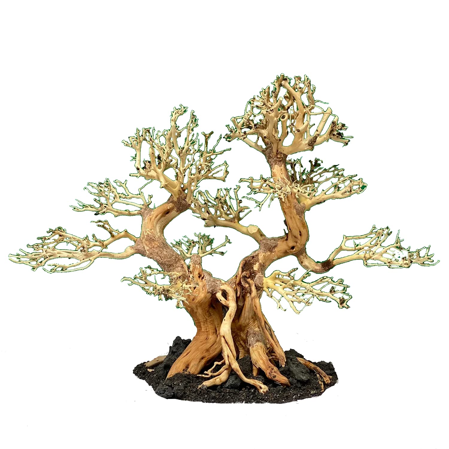 Natural Aquarium Driftwood Bonsai Tree for Fish Tank Decor - Aquascape Wood for Freshwater Aquariums, Shrimp & Betta Tanks - Perfect for Aquascaping, Home & Office Decoration (Great for Creating Zen Underwater Landscapes)