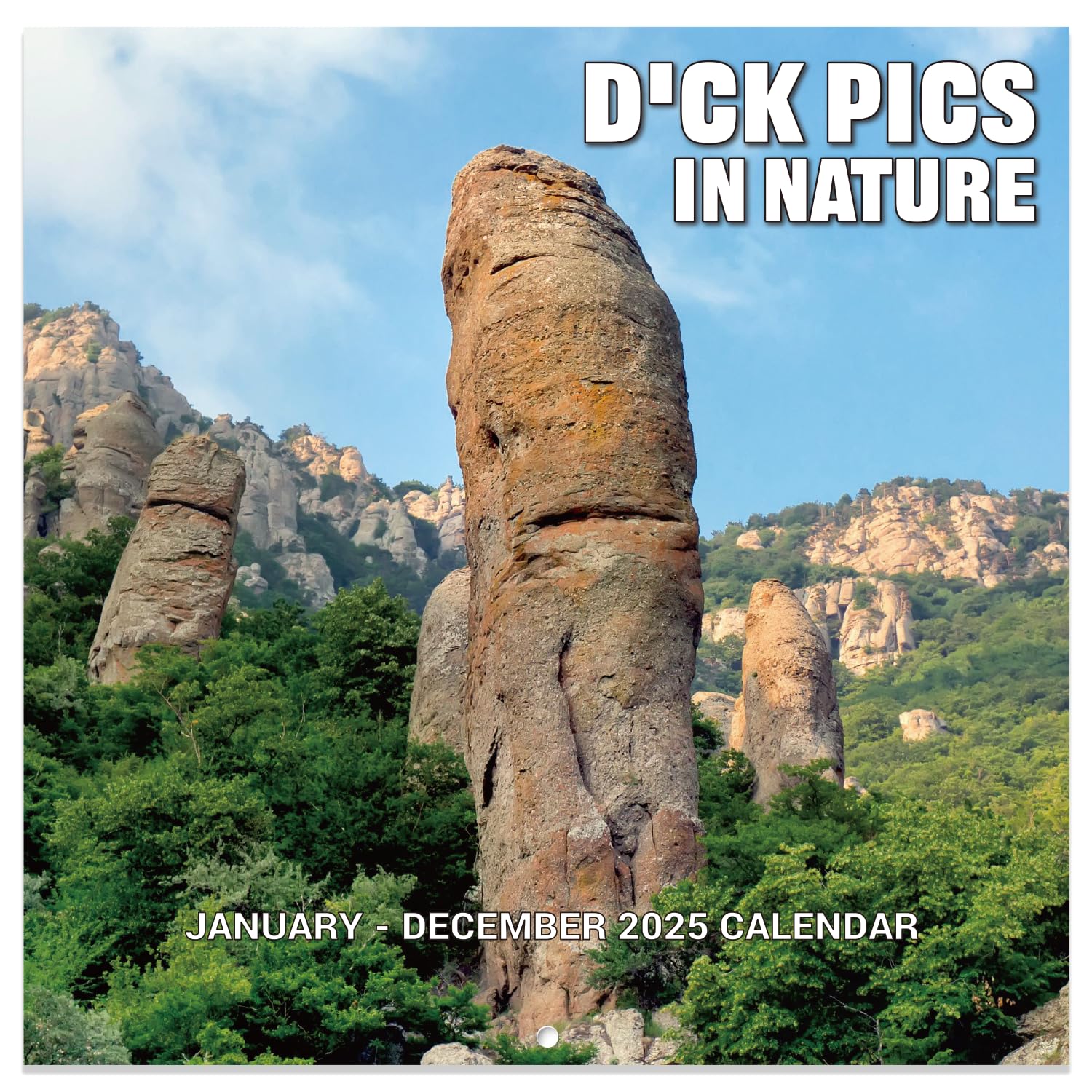 Funny 2025 Wall Calendar with Thick Paper - 12