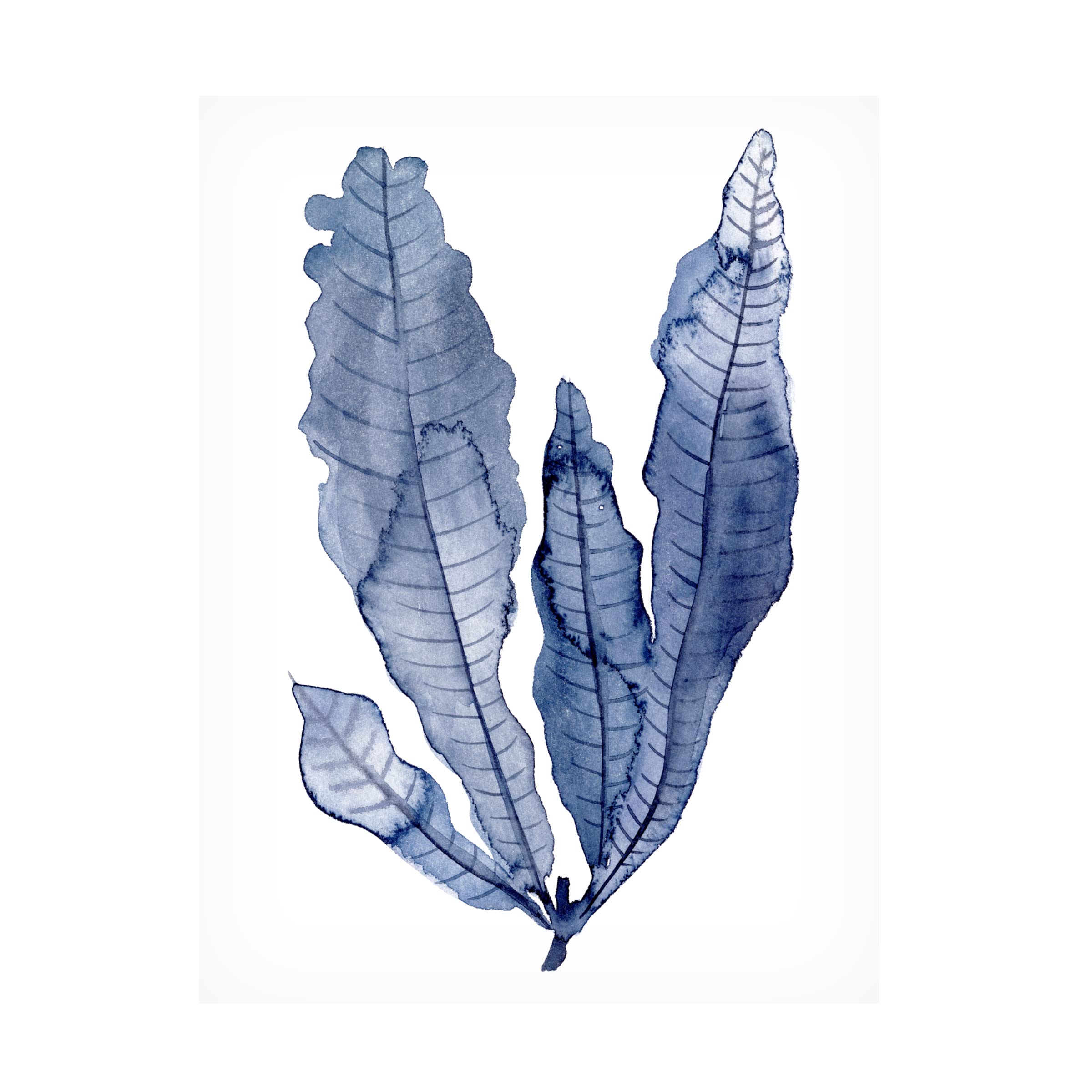 Trademark Fine Art 'Seaweed Under Water IV' Canvas Wall Art by Melissa Wang - Ocean Themed Home Decor for Living Room, Bedroom & Office