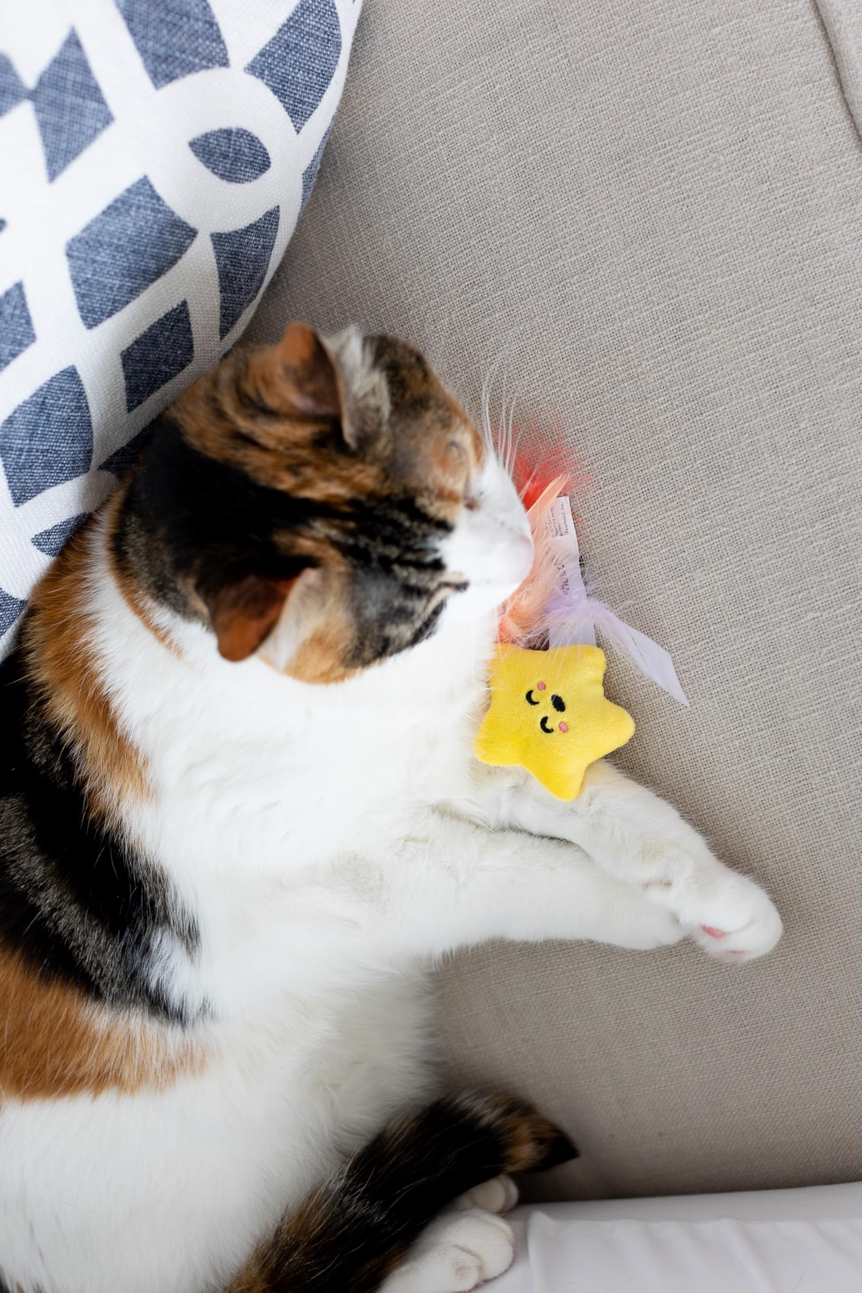 Pawstronaut Cat Toy Set with Feather Teaser & Rattle - Fun Playtime for Cats